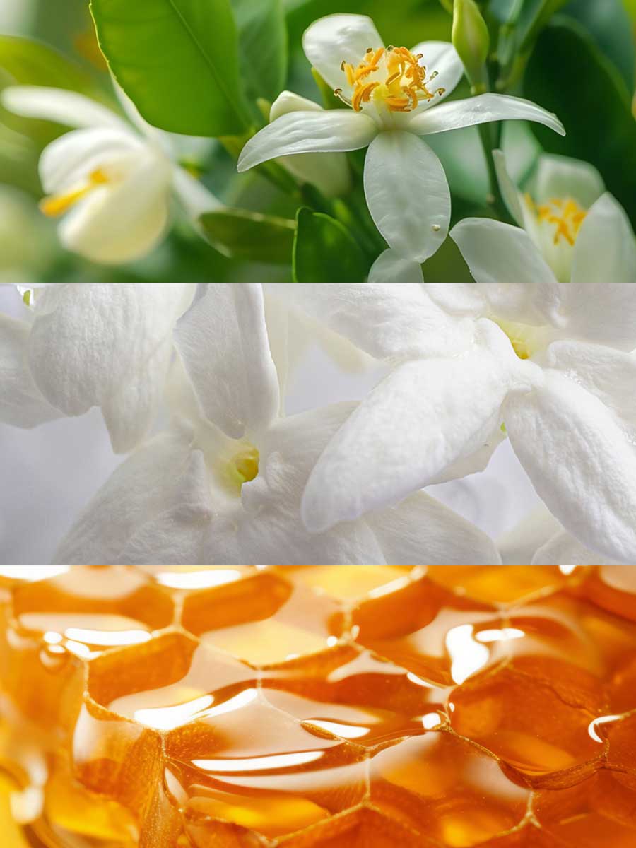 Copy of C_VVF16-ITM100.jpg