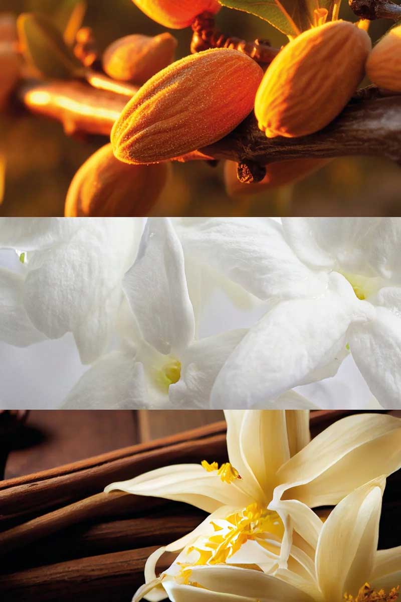 Copy of C_VVF16-ROU100.jpg